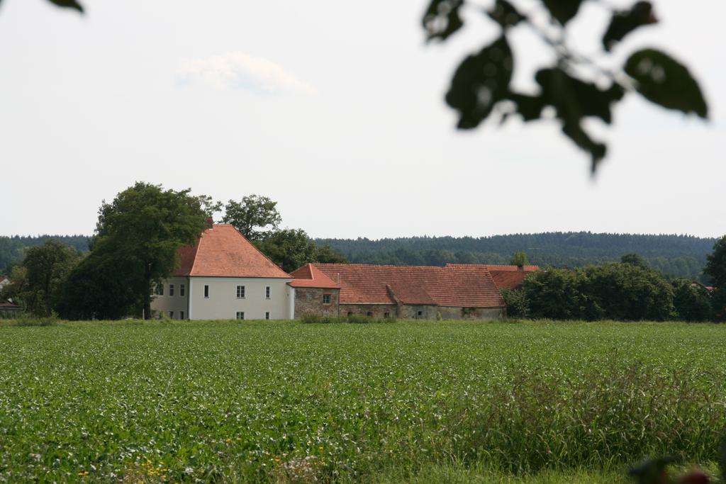 Historischer Pfarrhof Niederleierndorf Langquaid Bilik gambar
